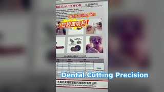 ตัวแทนจำหน่ายพันธมิตรระดับโลกของ AUTOFOR